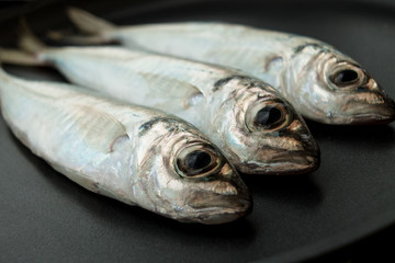several freshly caught mackerel in a frying pan. Macro photo of fresh fish.