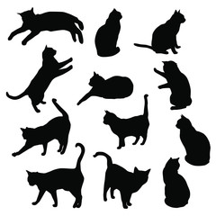 Set vector silhouettes of the cat, different poses, standing, jumping and sitting,  black color, isolated on white background