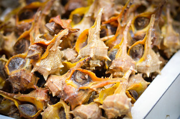 fresh seafood within the fish market in Spain - octopus, shells, shrimps, fish, oysters, lobster 