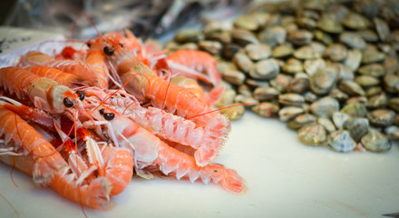 fresh seafood within the fish market in Spain - octopus, shells, shrimps, fish, oysters, lobster 