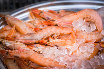 fresh seafood within the fish market in Spain - octopus, shells, shrimps, fish, oysters, lobster 