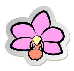 Vector illustration, sticker of pink orchid flower in flat cartoon style isolated on white background