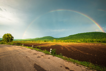 Rainbow Over the Rice Farm