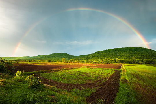 Rainbow Over the Rice Farm © patpitchaya