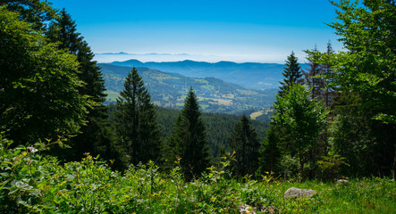 Bergpanorama in den Vogesen 