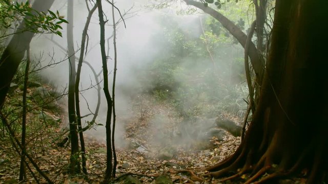 Geothermal areal in Rincon de la Vieja National Park
