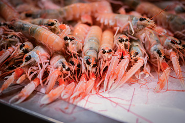 fresh seafood within the fish market in Spain - octopus, shells, shrimps, fish, oysters, lobster 