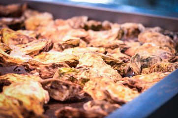 fresh seafood within the fish market in Spain - octopus, shells, shrimps, fish, oysters, lobster 