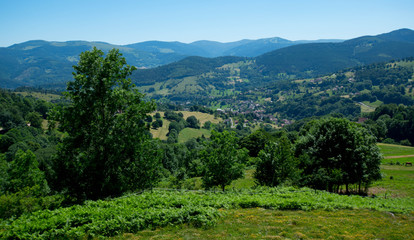 Fototapeta na wymiar Bergpanorama in den Vogesen 