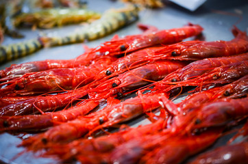 fresh seafood within the fish market in Spain - octopus, shells, shrimps, fish, oysters, lobster 