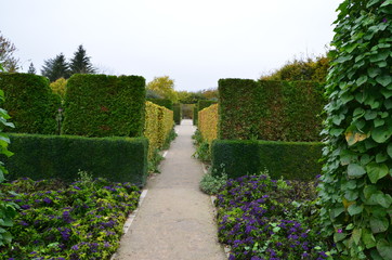 path in the garden