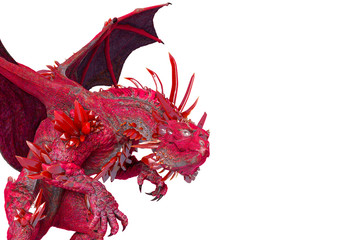 crystal dragon in white background