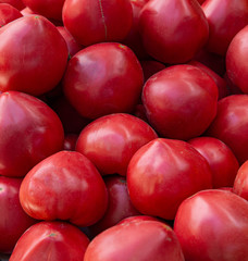 Red tomatoes background. Tomato group. Large tomatoes.