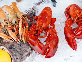 Fresh gourmet seafood with lobsters and shrimps