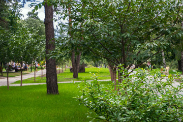 green summer park