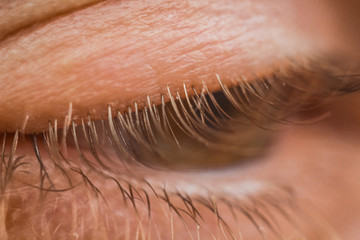 male eye close up. eyelashes in macro. upper and lower eyelid