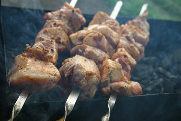 meat on the grill