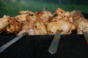 meat on the grill