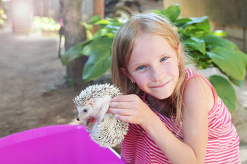 happy little girl playing with her pet African pygmy hedgehog