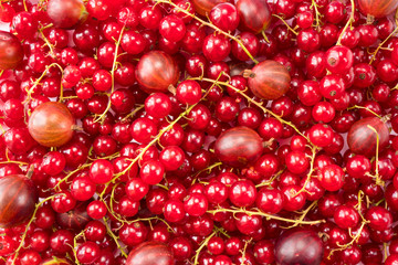 Background of red currants and red gooseberries. Fresh berries closeup. Top view. Background of fresh berries. Various fresh summer fruits. Red food.