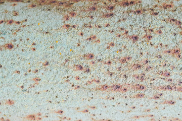 Painted rusty metal background. Rusty grunge metal background painted green