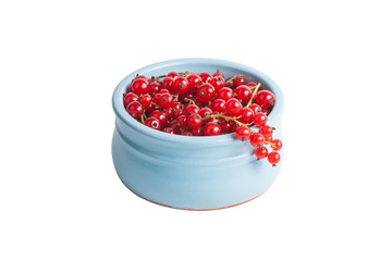 Red garden currant in a blue clay cup