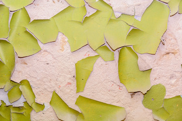 peeling paint on wall,peeling paint,peeling paint texture,peeling paint on old wall,wall defect