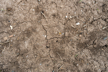 Große Trockenheit, kein Regen, trockene Erde