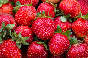 Fresh ripe organic red sweet strawberries