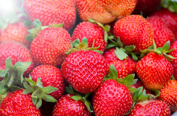 Fresh ripe organic red sweet strawberries