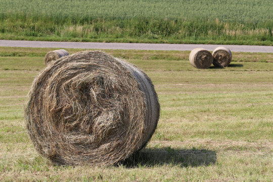 Hay rolls in the fields in Germany