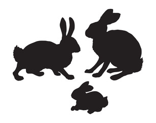 Hare. Vector drawing