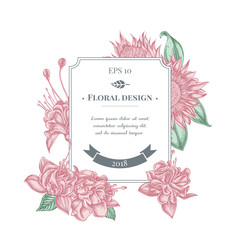 Badge design with pastel african daisies, fuchsia, king protea