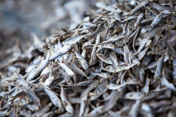 Close of heap of dry Mackerel minnows.