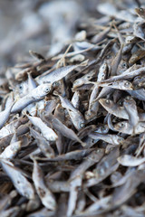 Close of heap of dry Mackerel minnows.