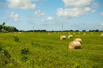 HAY IN THE FIELD BLANKED BY ROLL