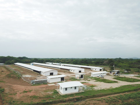 Aerial view of a modern Poultry facility in a rural area of Panama