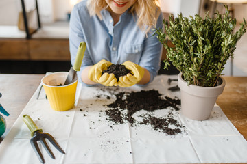 Woman in gloves holds pile of peat for home plants