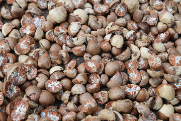 Dried betel nut