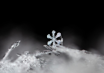 snowflake, little snowflake on the snow