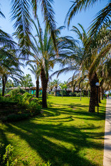 Obraz premium Exotic landscape