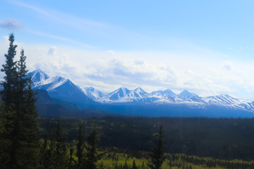 Fototapeta premium mountains of Denali National Park, Alaska, USA