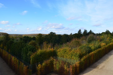 Obraz premium Autumn in the gardens of Versailles