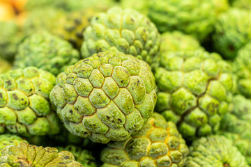 Close view of several Pinhia fruit. Fresh fruit from the northeast of brazil. green on the outside and white on the inside.