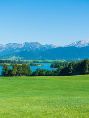 Fototapeta na wymiar Lake forggensee in the algäu mountains