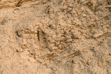Steep wall of clay rock, with a bunch of cracks, closeup