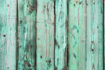 Old with peeling paint wooden fence green