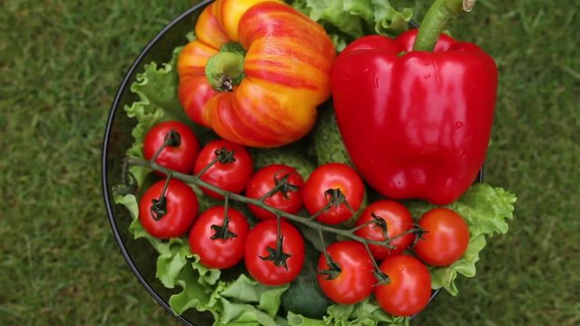 Top view stock video of fresh green and red vegetables in the bowl on green lawn.