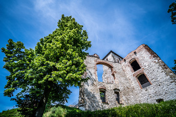 Fototapeta na wymiar Beautiful historic castle ruins on a green hill. Ruins of Tenczyn Castle in Rudno, Poland.