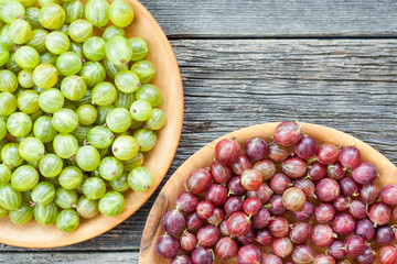 Freshly harvested gooseberries